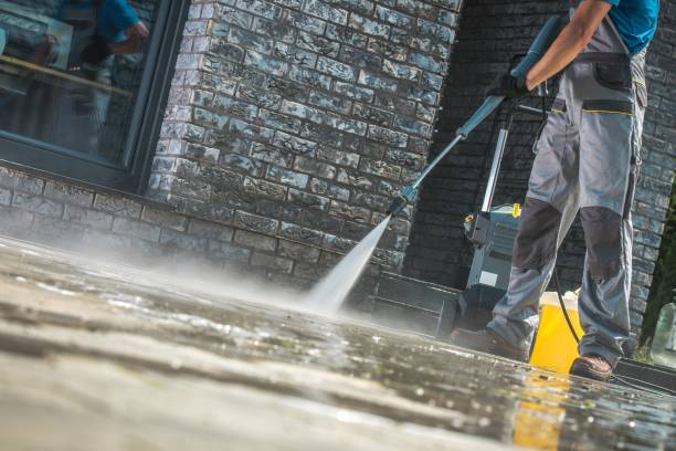 Best Fleet Vehicle Washing  in Santa Paula, CA